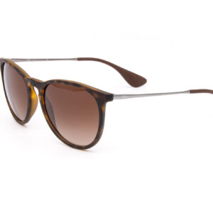 RAY-BAN-RB4171-ERIKA-2