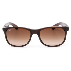 RAY-BAN-RB4202-ANDY-1