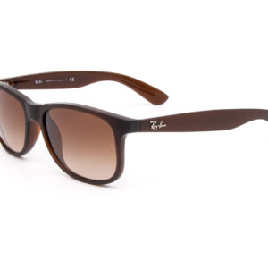 RAY-BAN-RB4202-ANDY-2