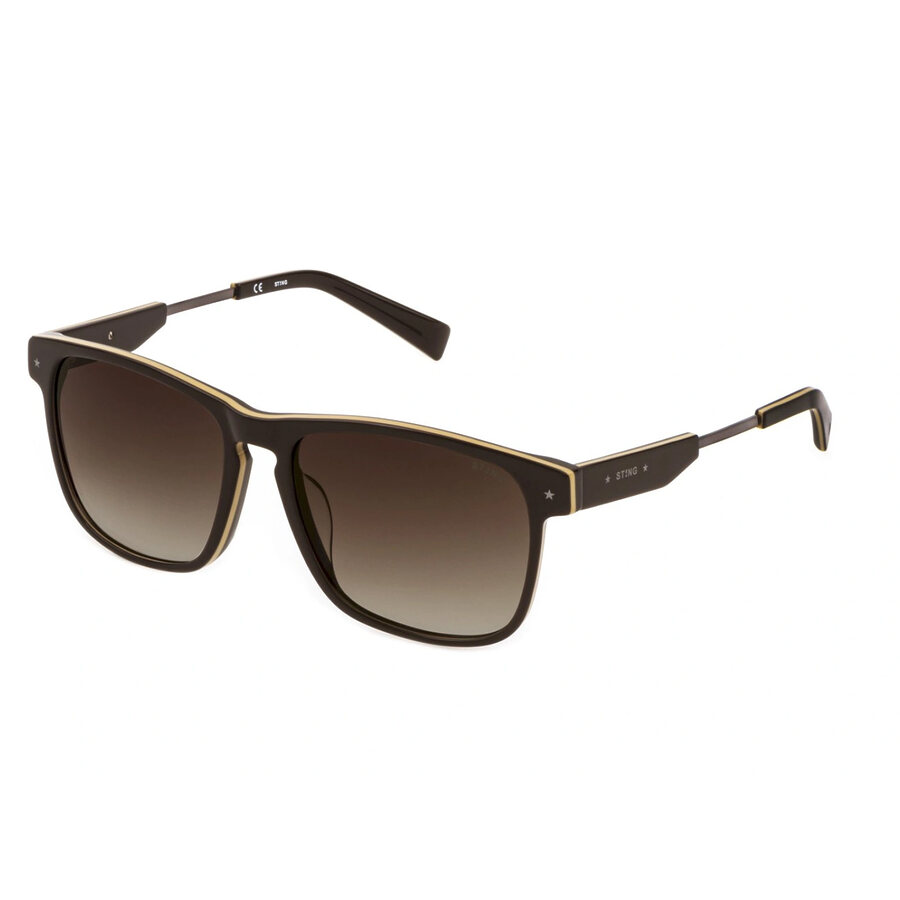 STING 384 HALE 2 color AAHY