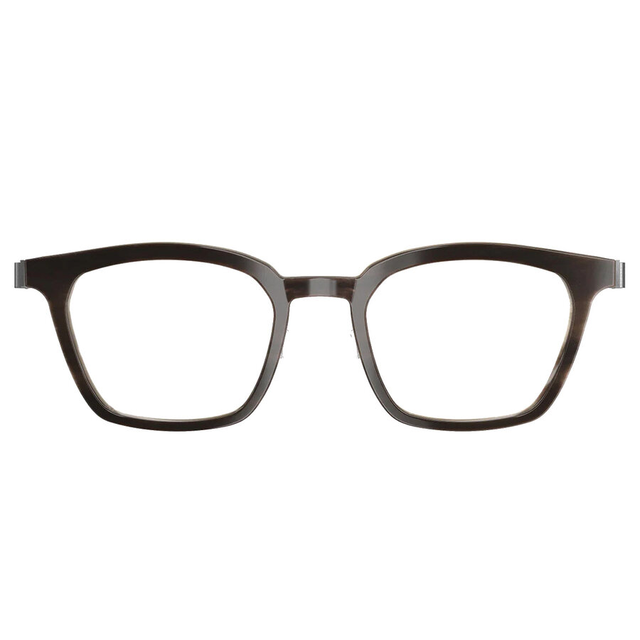 Lindberg Buffalo 1860 color H18