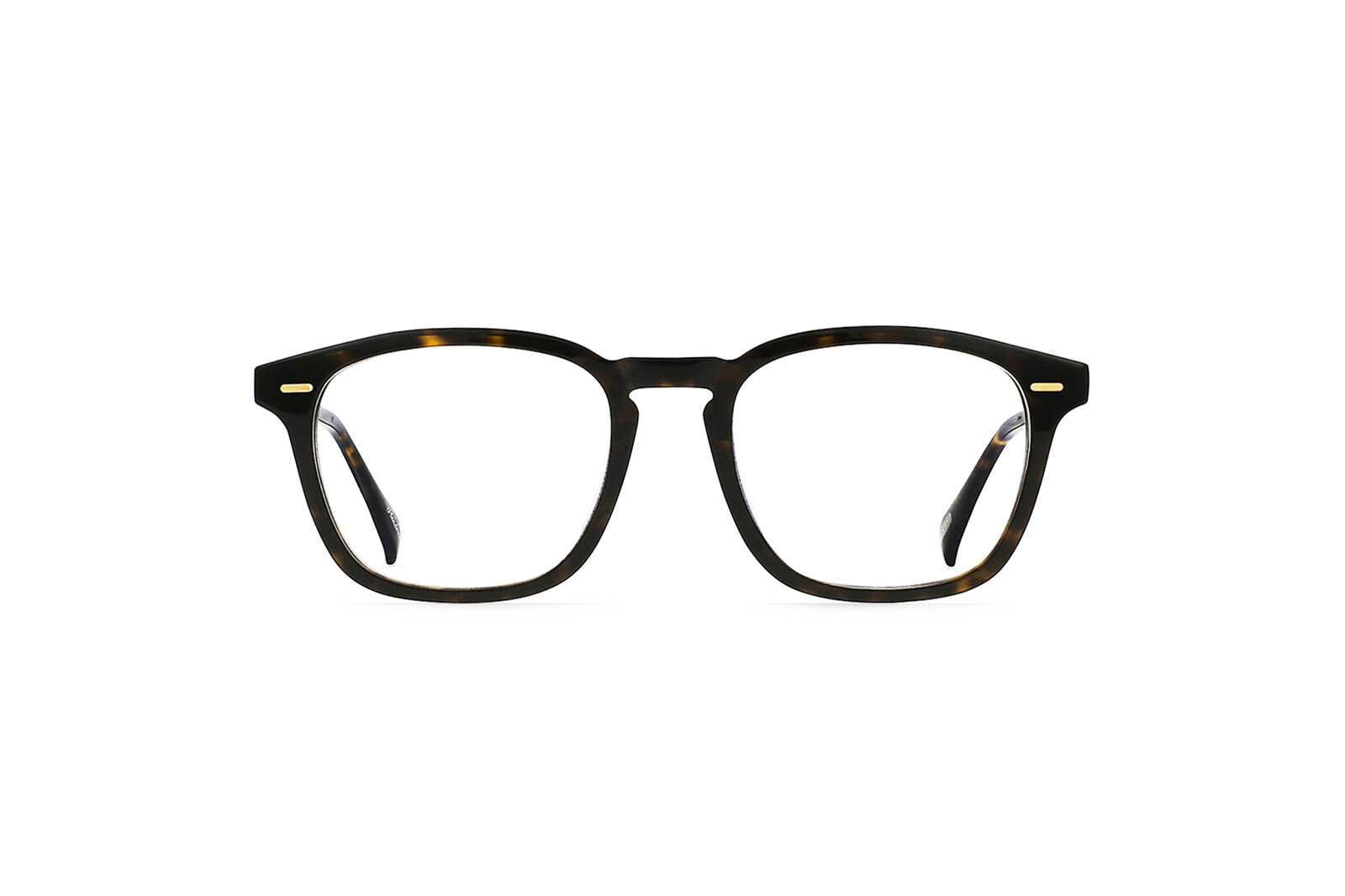 Raen Copley colore Agave Tortoise/Clear