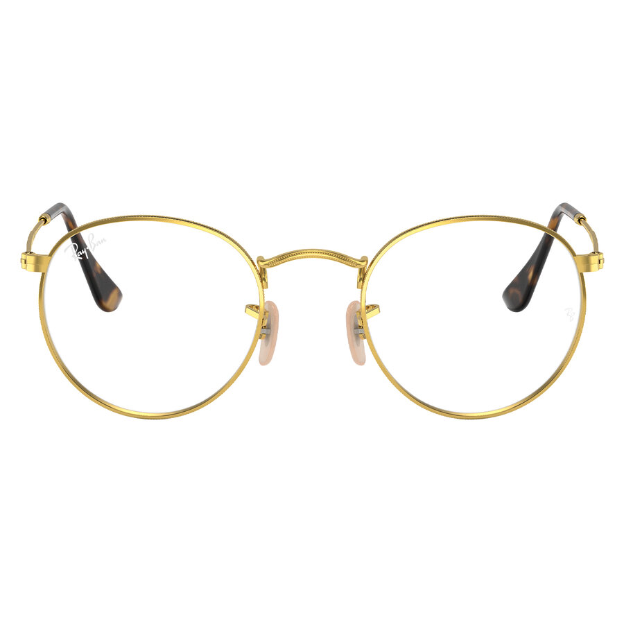 Ray-Ban 3447 color 2500