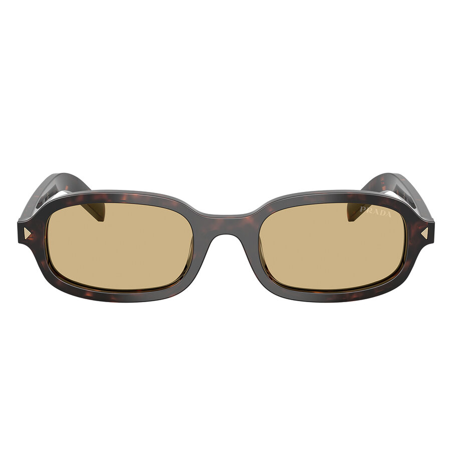 Prada D06S color 17N70R