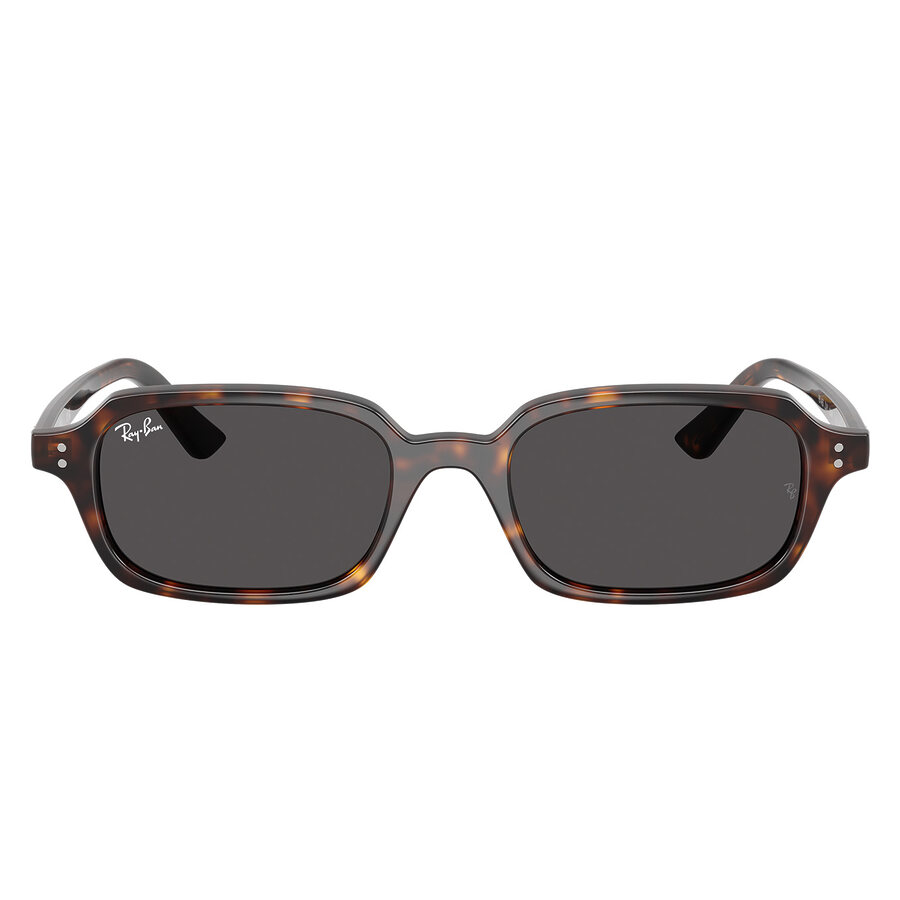 Ray-Ban 4455 color 135987