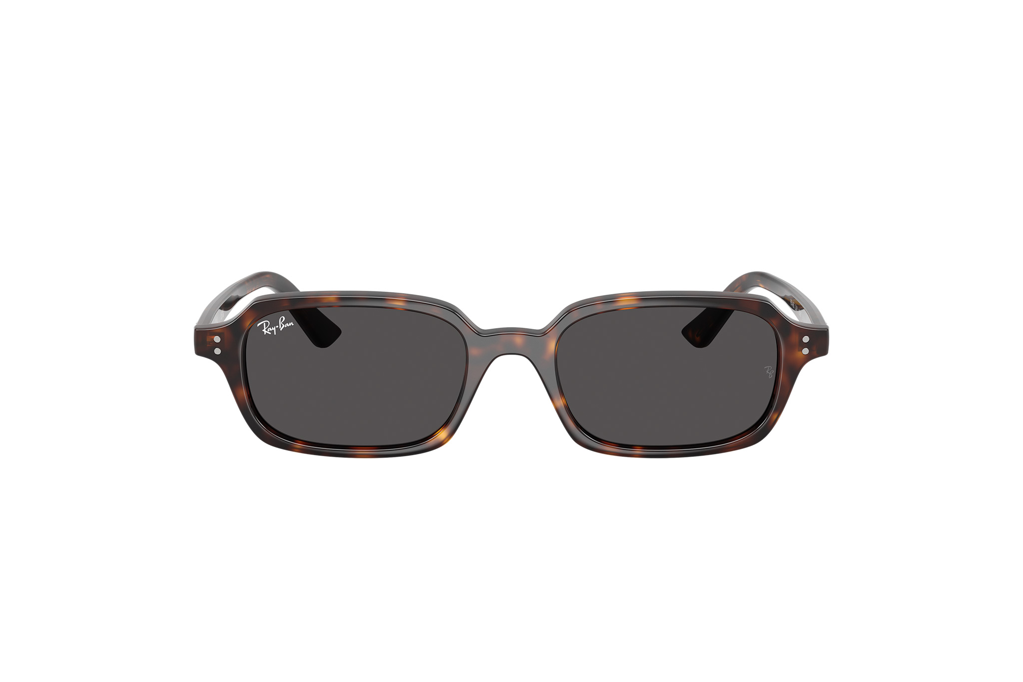 Ray-Ban 4455 color 135987