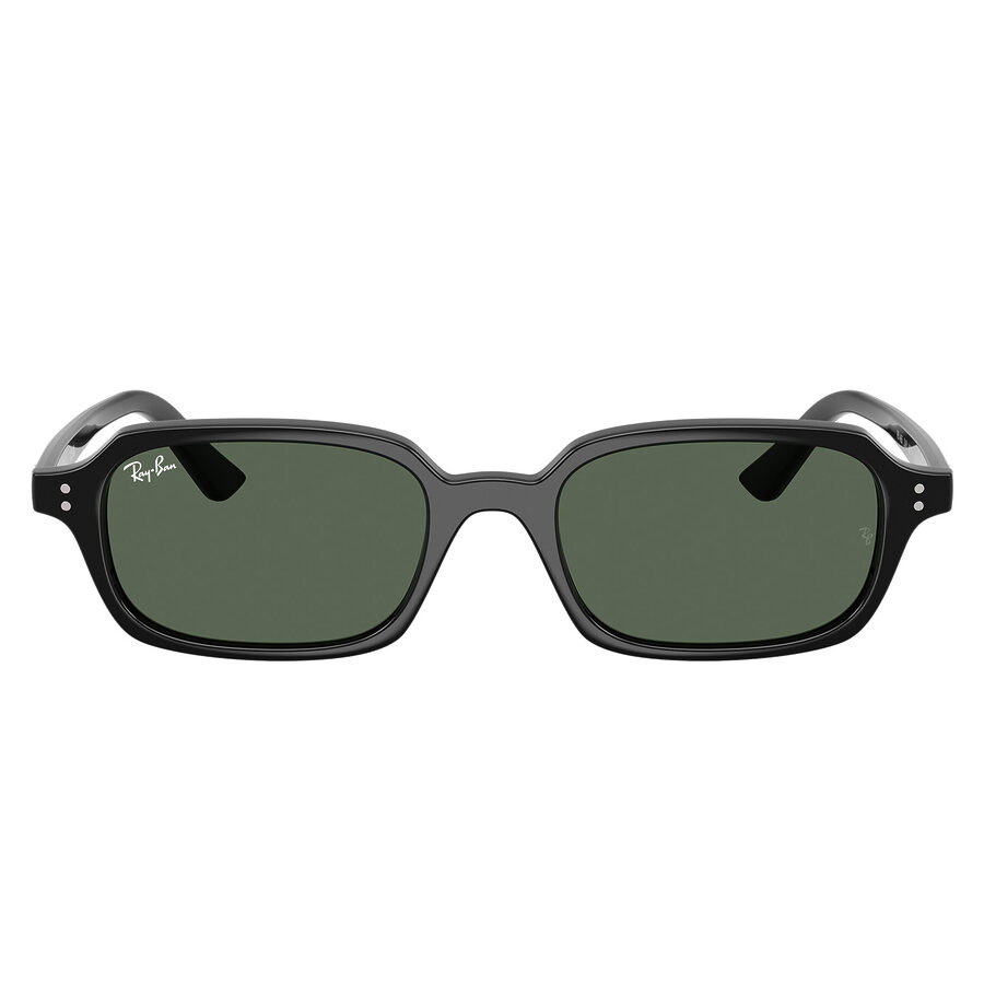 Ray-Ban 4455 color 667771