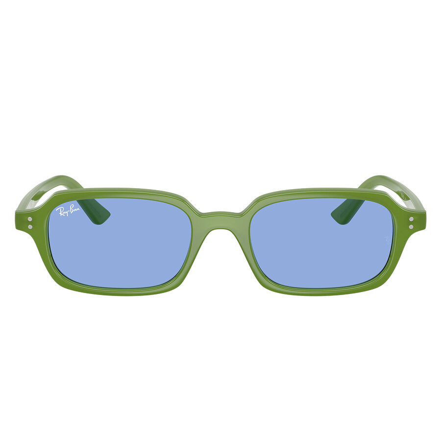 Ray-Ban 4455 color 681080